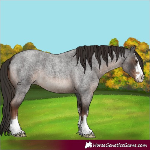 Horse Color:Liver Red Roan 