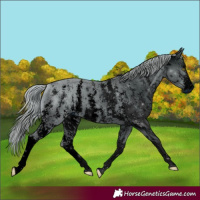 Horse Color:ERROR: UNKNOWN ANOMALY