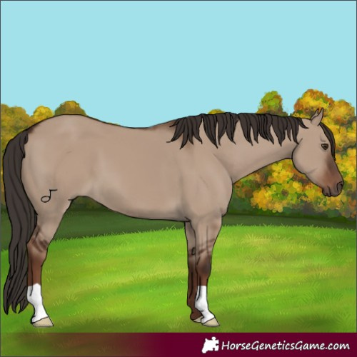 Horse Color:Liver Red Dun