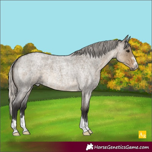 Horse Color:Silver Smoky Grullo Roan