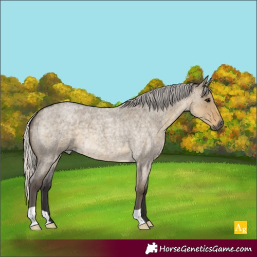 Horse Color:Silver Smoky Grullo Roan 