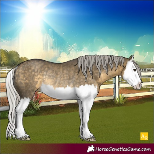 Horse Color:Silver Buckskin Dun Splash Rabicano 