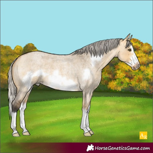 Horse Color:Silver Buckskin Roan Dun Splash Frame