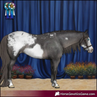 Horse Color:Smoky Black Sabino Frame Appaloosa Rabicano