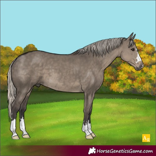 Horse Color:Silver Smoky Grullo 