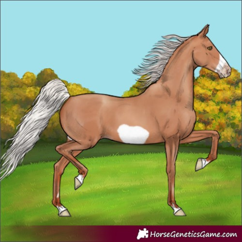 Horse Color:Silver Sable Champagne Frame