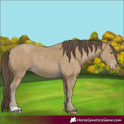 Horse Color:Classic Cream Champagne