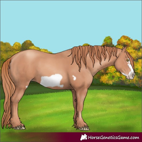 Horse Color:Gold Champagne Frame 