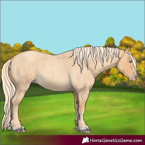 Horse Color:Gold Cream Champagne Roan 