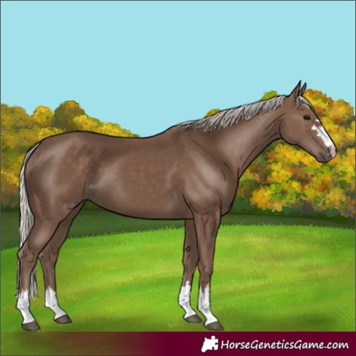 Horse Color:Silver Black 