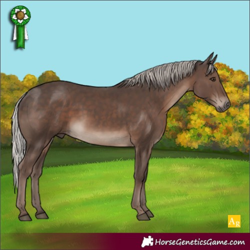 Horse Color:Silver Black Mushroom