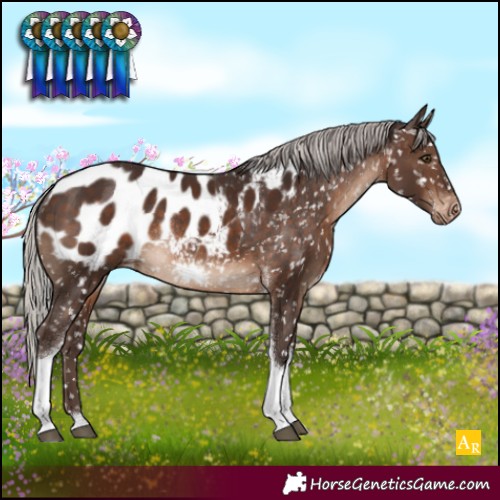 Horse Color:Silver Brown Tobiano Blanket Rabicano 