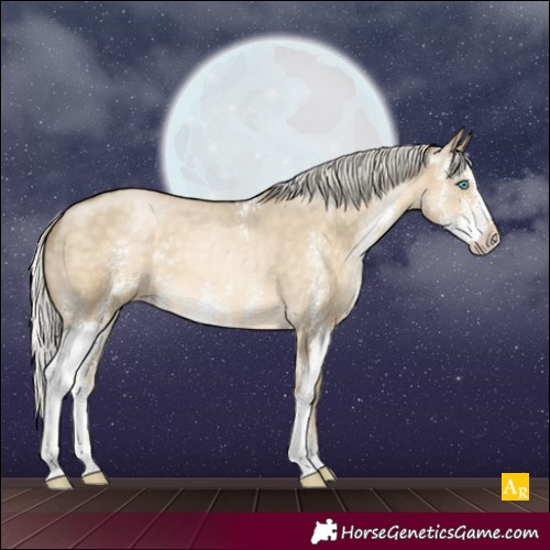 Horse Color:Silver Buckskin Pearl Dun Sabino Varnish 