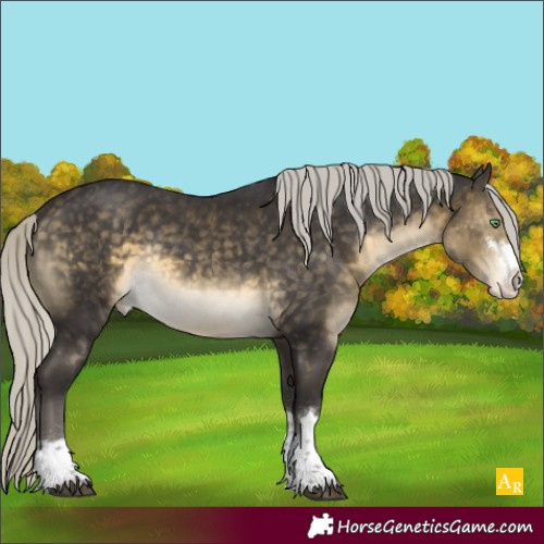 Horse Color:Silver Buckskin Mushroom Appaloosa Rabicano