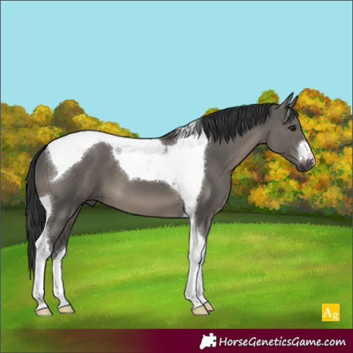 Horse Color:Grullo Tobiano 
