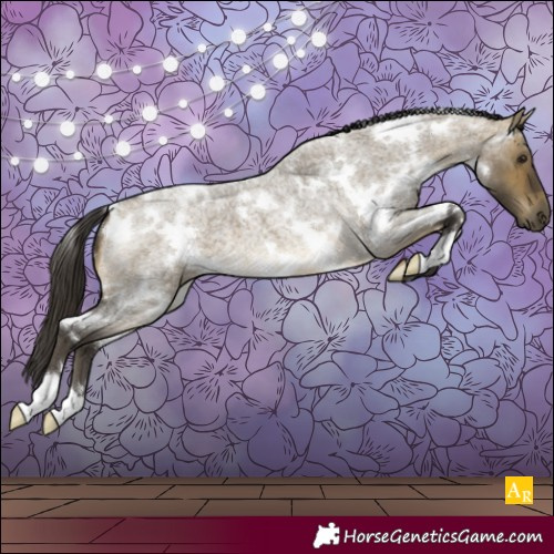 Horse Color:White Spotted Buckskin Roan Dun