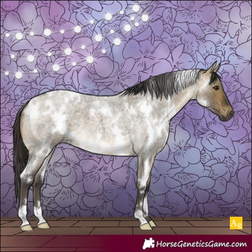 Horse Color:White Spotted Buckskin Roan Dun 