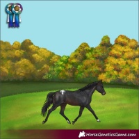 Horse Color:Brown Varnish