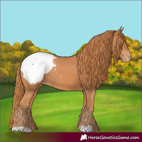 Horse Color:Chestnut Snowcap 