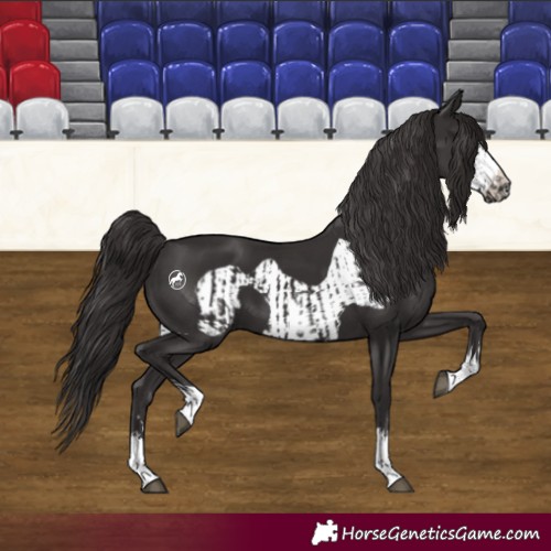 Horse Color:Smoky Black  and Smoky Black Frame 
