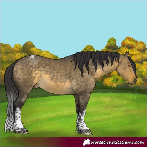 Horse Color:White Spotted Buckskin Dun Tobiano