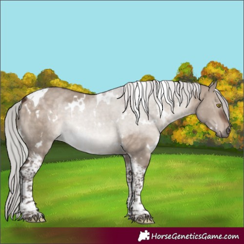 Horse Color:White Spotted Silver Brown Dun Mushroom Tobiano 