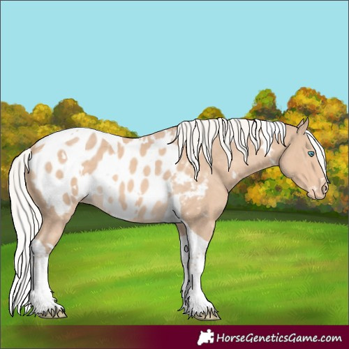 Horse Color:White Spotted Silver Perlino Tobiano Appaloosa 