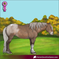Horse Color:Silver Brown Dun Sabino Tobiano