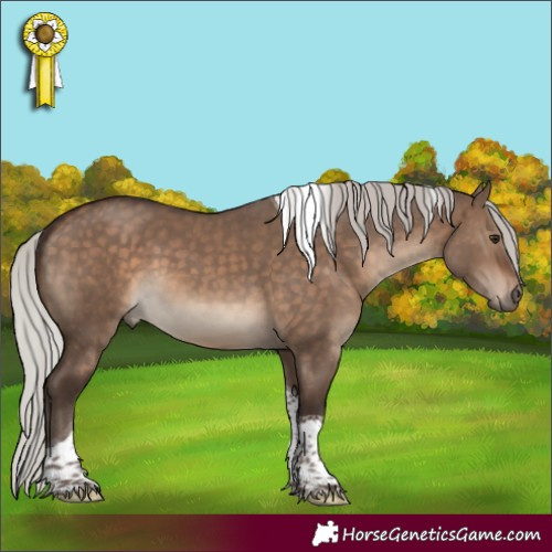 Horse Color:Silver Brown Dun Tobiano 