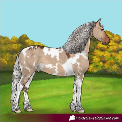 Horse Color:White Spotted Silver Bay Dun Tobiano 