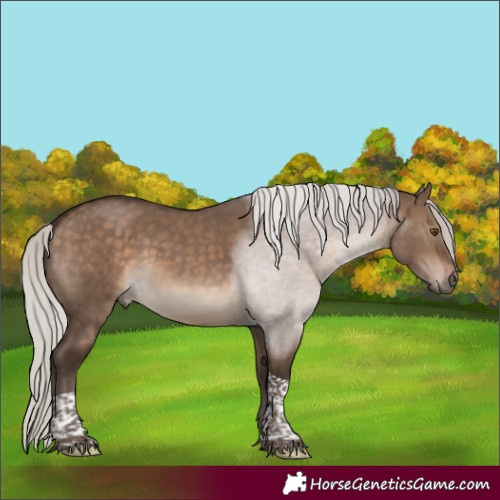 Horse Color:Silver Brown Dun Tobiano 