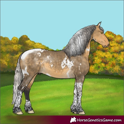 Horse Color:White Spotted Silver Buckskin Dun Tobiano