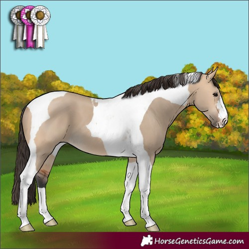 Horse Color:Bay Dun Tobiano