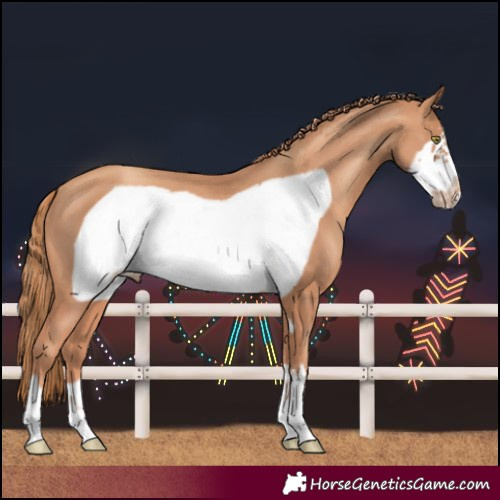 Horse Color:Gold Champagne Frame 