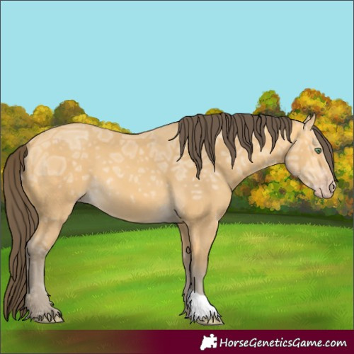 Horse Color:Amber Cream Champagne Ice 