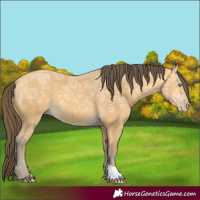 Horse Color:Amber Cream Champagne Ice 