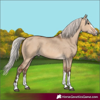 Horse Color:Silver Bay Dun 
