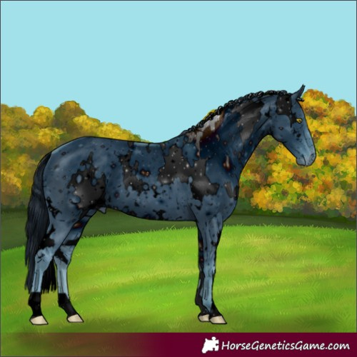 Horse Color:ERROR: UNKNOWN ANOMALY