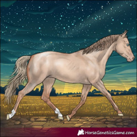 Horse Color:Gold Champagne Dun
