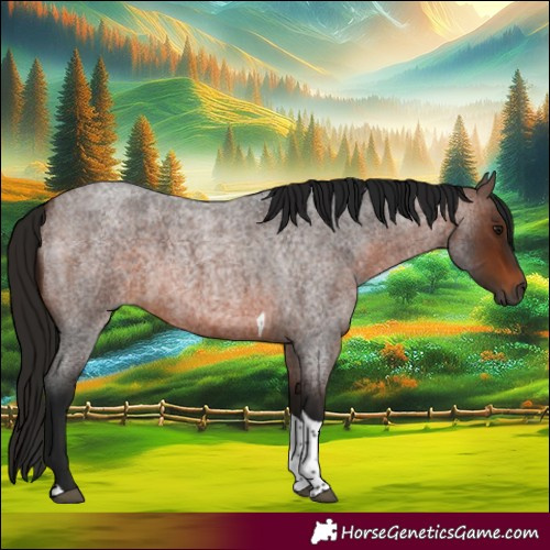 Horse Color:Gray Bay Roan Tobiano 