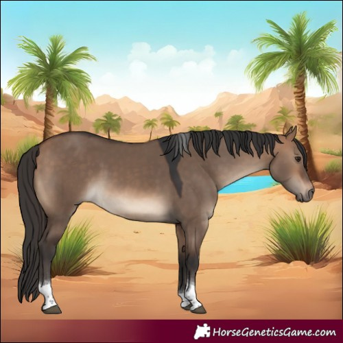 Horse Color:Bay Dun Tobiano 