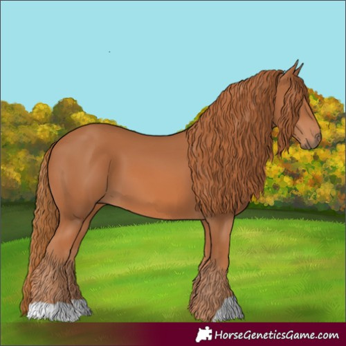 Horse Color:Chestnut 