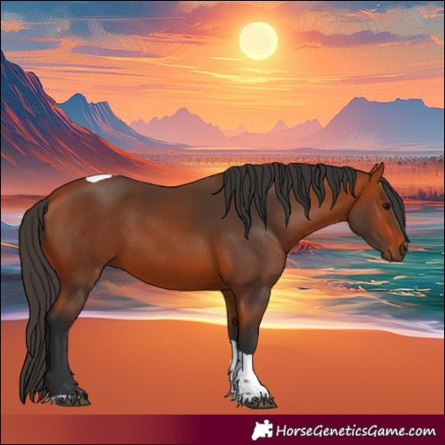 Horse Color:Bay Tobiano Rabicano 