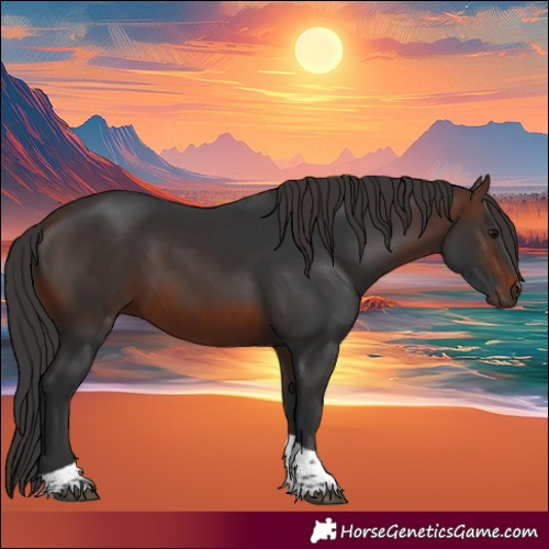 Horse Color:Brown Tobiano Rabicano 