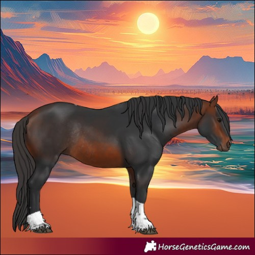 Horse Color:Bay Tobiano Rabicano 