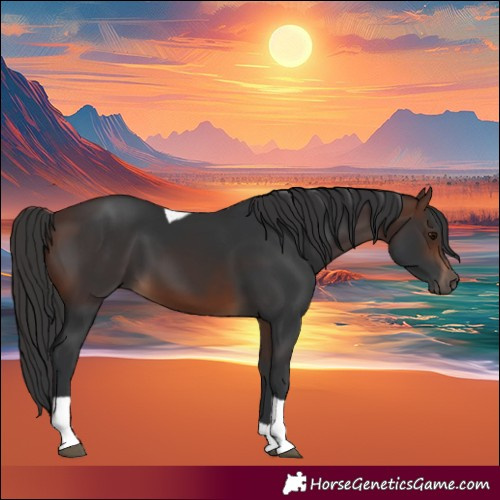 Horse Color:Brown Tobiano Rabicano