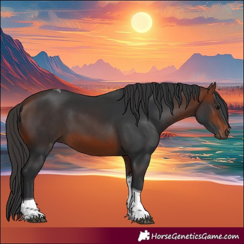 Horse Color:Bay Tobiano Rabicano