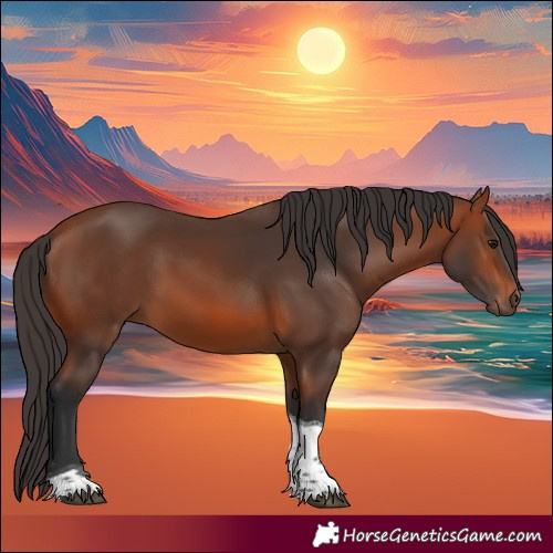 Horse Color:Bay Tobiano Rabicano 