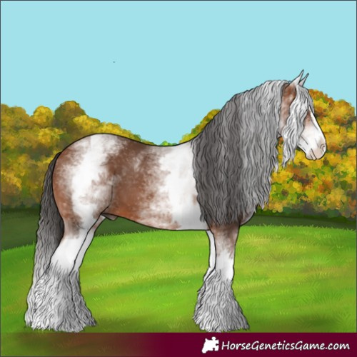 Horse Color:White Spotted Bay Splash 