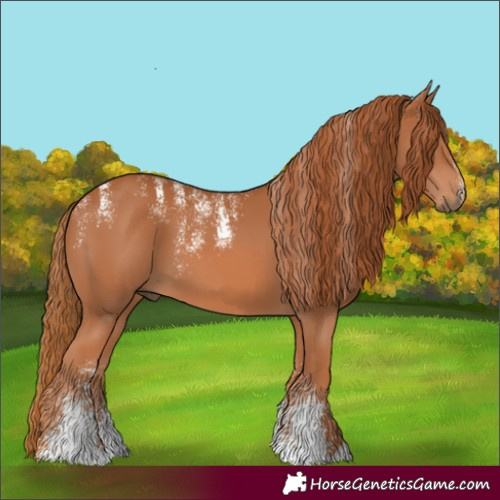Horse Color:Powder White Chestnut 